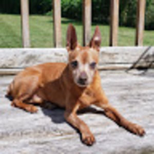 Meet your Posher, Susan